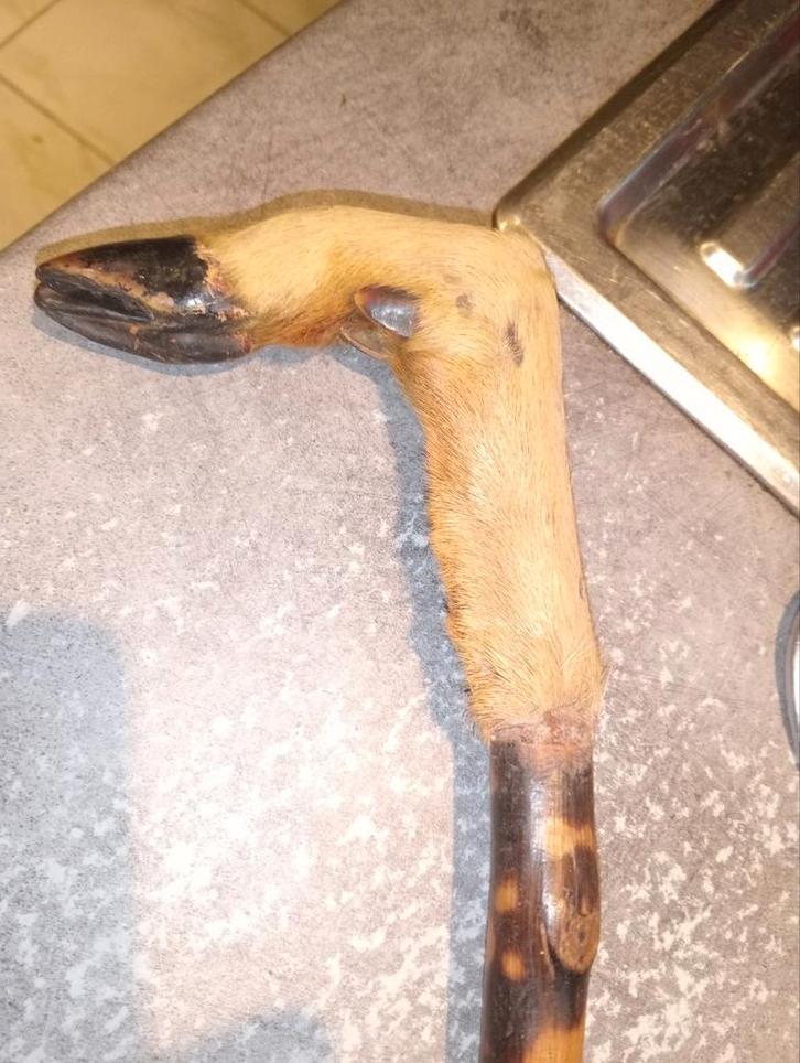 Herteneendeend, Diversen, Wandelstokken