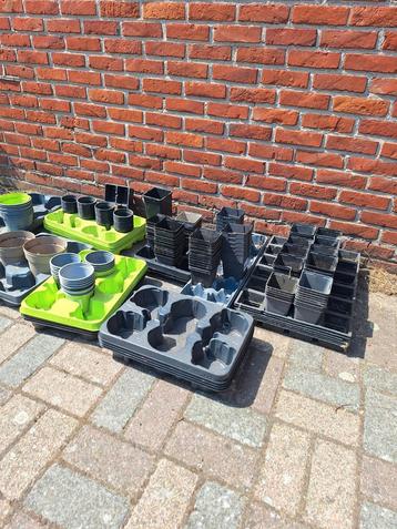 Bloempotten beschikbaar voor biedingen