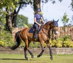 LeMieux Carbon Mesh Navy CC Spring Dekje SALE!, Dieren en Toebehoren, Paarden en Pony's | Dekens en Dekjes, Ophalen of Verzenden