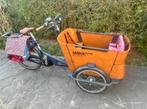 Babboe Curve E berg, Gebruikt, 3 kinderen, Elektrisch, Ophalen