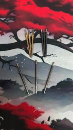 Dart punten, Sport en Fitness, Darts, Ophalen