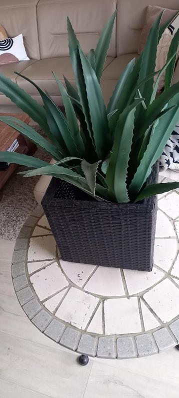 Kunstplanten +pot beschikbaar voor biedingen