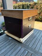 bijenkast simplex, Bijen