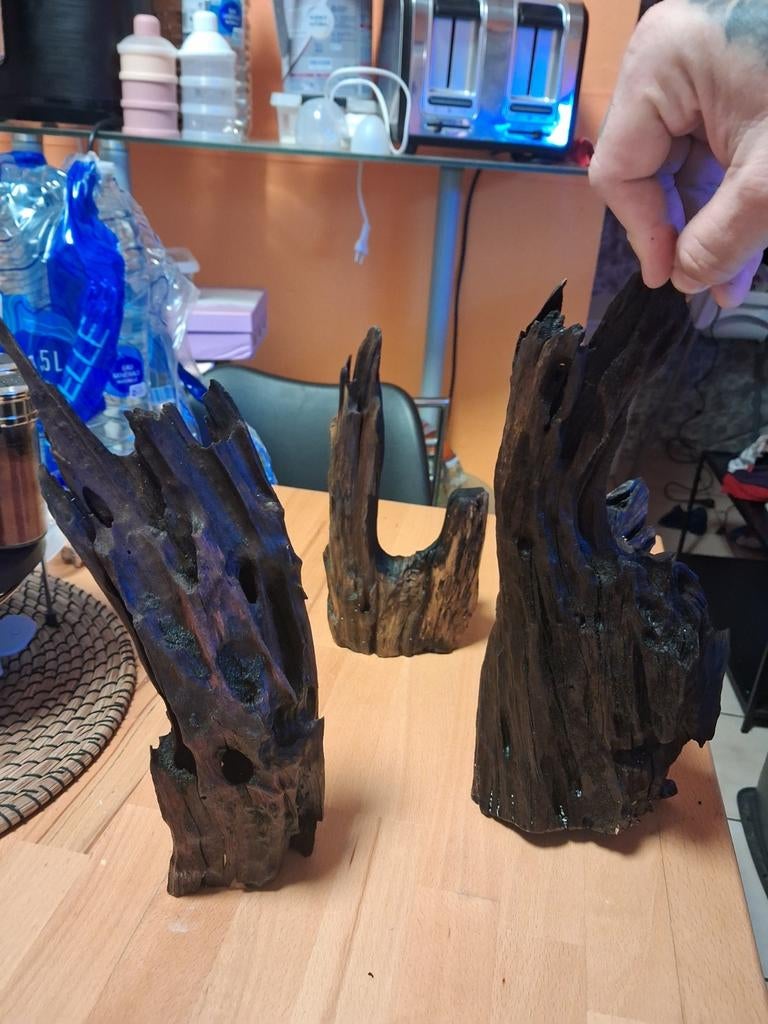 3 petites souche, Enlèvement ou Envoi