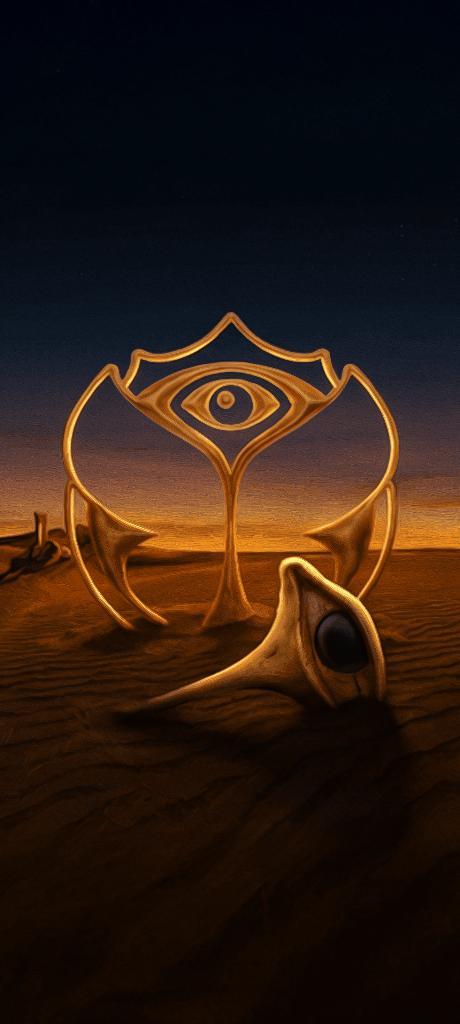 Tomorrowland, Tickets & Billets, Événements & Festivals, Une personne