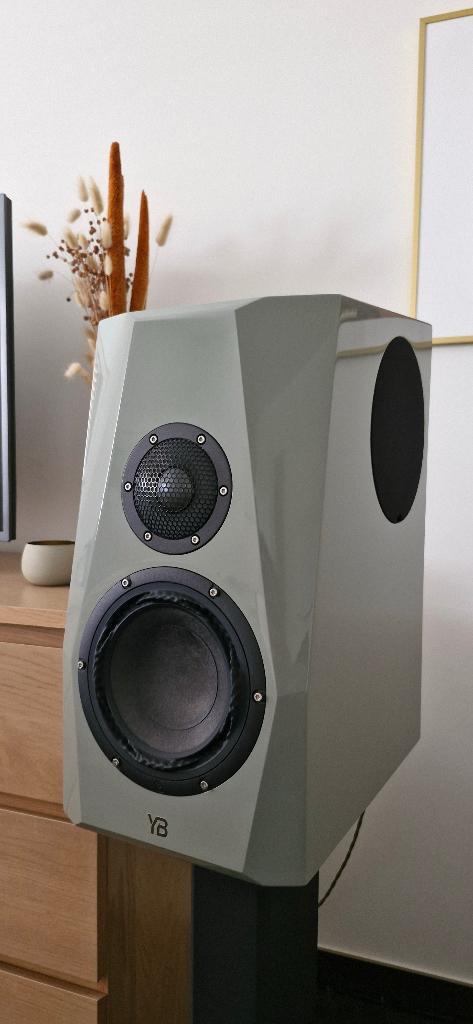 Par Audio Pulse (Purifi), TV, Hi-fi & Vidéo, Enceintes, Comme neuf, Haut-parleurs Frontaux, Arrière ou Stéréo, 60 à 120 watts