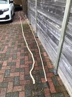 Koorden touwtrekken, Ophalen, Nieuw