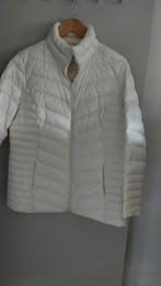 Wit gecentreerd tussen seisoen  jasje ., Kleding | Dames, Ophalen, Maat 46/48 (XL) of groter, Wit