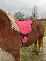 Brockamp support barebackpad, Dieren en Toebehoren, Ophalen of Verzenden, Zo goed als nieuw