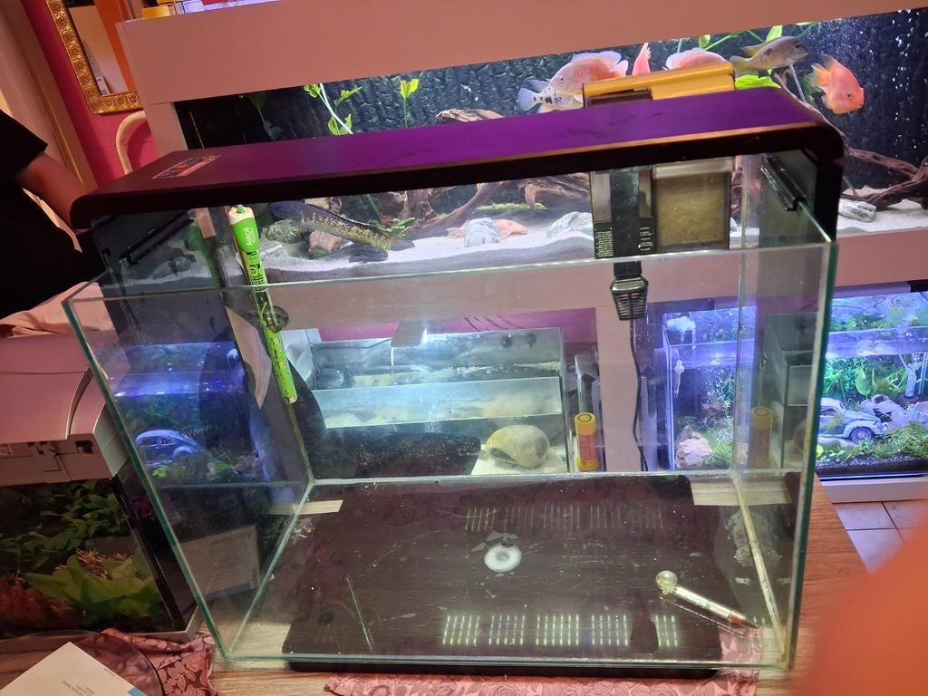 Aquarium superfish home80 avec filtre externe+chauffage 100w, Animaux & Accessoires, Enlèvement, Chauffage, Utilisé, Superfish