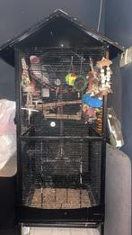 Papegaaienkooi grijzeroodstaart kaketoe (heel groot !!, Papegaai