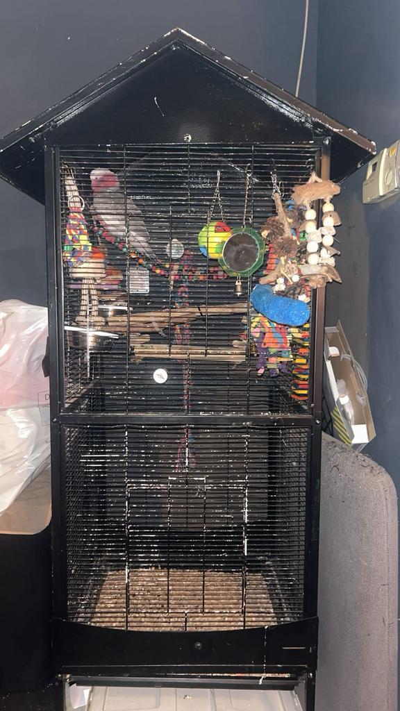 Papegaaienkooi grijzeroodstaart kaketoe (heel groot !!, Animaux & Accessoires, Oiseaux | Perruches & Perroquets, Perroquet