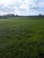 Landbouwgrond te koop, Immo