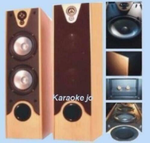 Speakers 2 x 180 Watt beuken houten kast op Spikes, Overige merken, Nieuw, Ophalen of Verzenden, 60 tot 120 watt