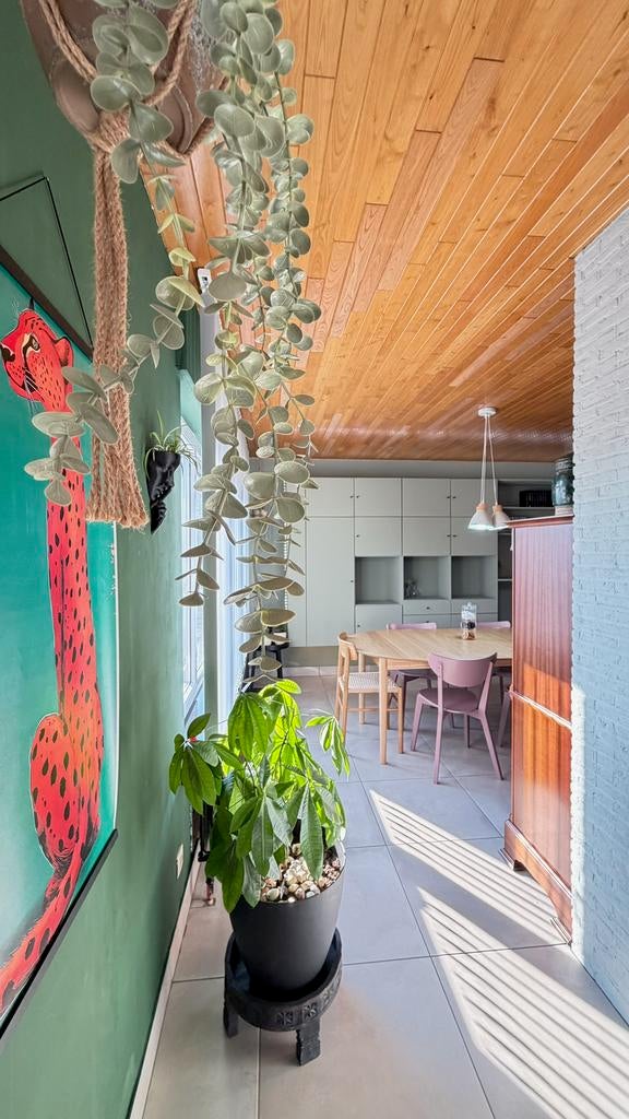 Huis Te koop te Oudsbergen, Immo, 500 tot 1000 m², 5 kamers, Vrijstaande woning, 210 m²