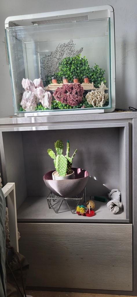 Superfish home 40 te koop met kast, Animaux & Accessoires, Enlèvement, Superfish