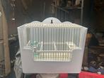 4 cages espagnols complete, Animaux & Accessoires, Oiseaux | Oiseaux Autre, Femelle, Oiseau chanteur sauvage, Domestique