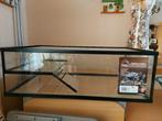 Terrarium pour tortue, Animaux & Accessoires, Enlèvement, Utilisé, Aquarium vide