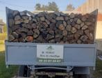 Bois de chauffage sec, Ophalen of Verzenden, Beukenhout, Blokken