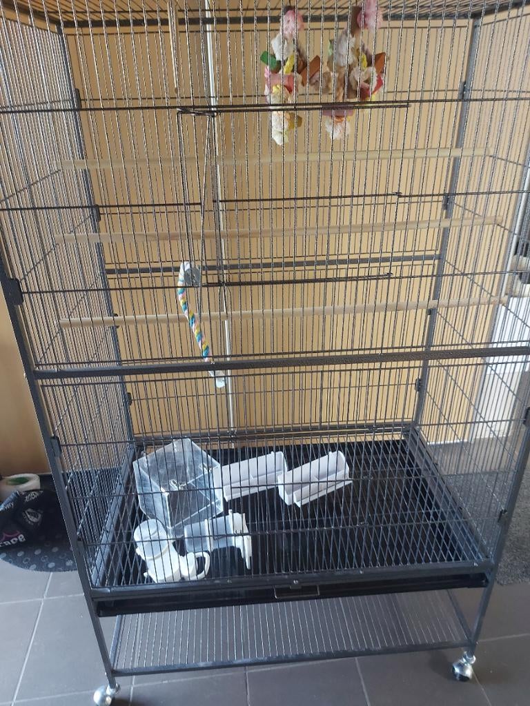 Voliere vogelkooi, Ophalen, Zo goed als nieuw, Metaal, Volière