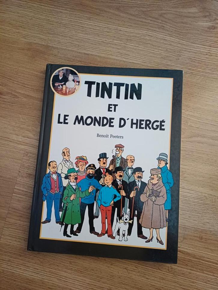 Bd Tintin et le monde D'Hergé, Livres, BD, Une BD, Enlèvement ou Envoi
