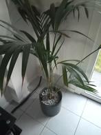 2x bloempotten Ancora zwart industriëel, Huis en Inrichting, Ophalen