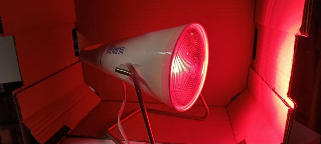 Infrarood warmtelamp PHILIPS, Ophalen