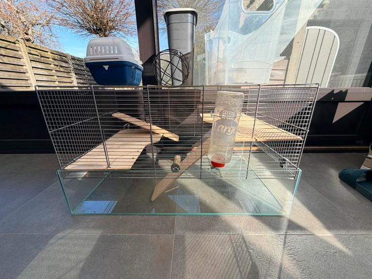 Cavia kooi. Knaagdier verblijf incl. Buitenren., Animaux & Accessoires, Rongeurs & Lapins | Cages & Clapiers, Cage, Cobaye, Enlèvement