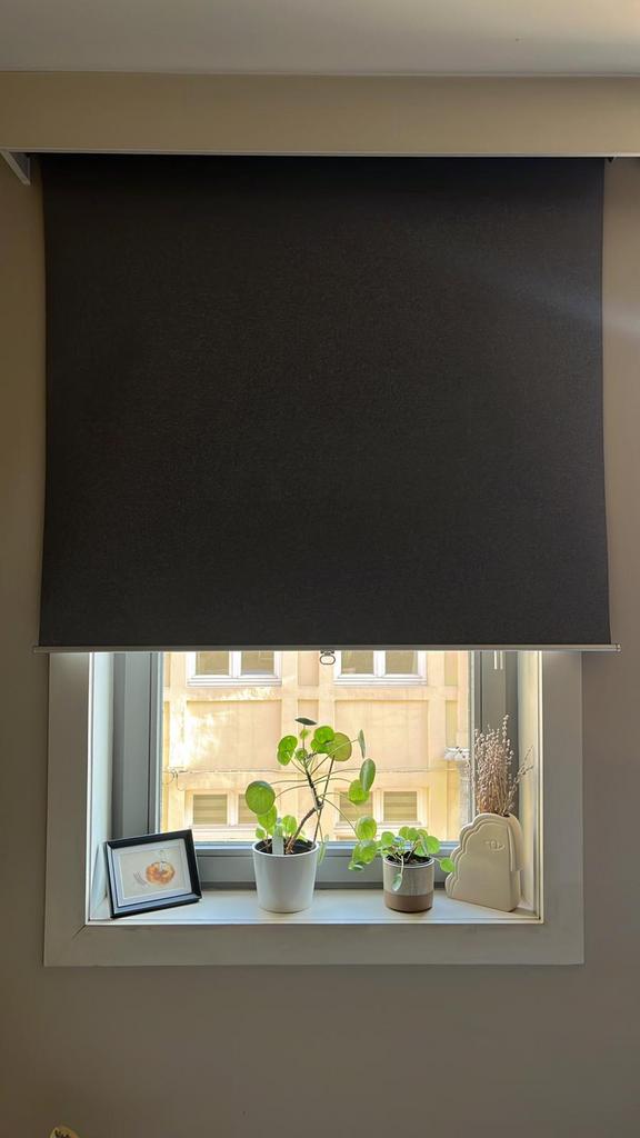 Verduisterend rolgordijn, lichtgrijs, Ophalen, Zo goed als nieuw, Grijs