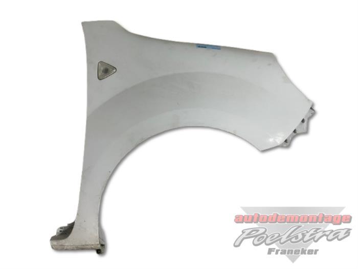 Scherm rechts-voor van een Renault Kangoo (O389), Auto-onderdelen, Gebruikt, -, Renault, -