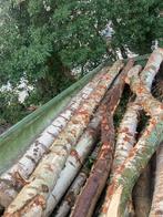 Brandhout, Tuin en Terras, Brandhout, 6 m³ of meer, Ophalen of Verzenden, Beukenhout, Stammen