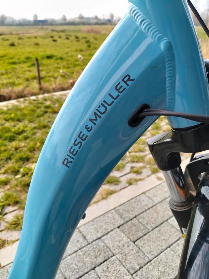 Riese en Muller, Fietsen en Brommers, Fietsen | Ligfietsen, Ophalen