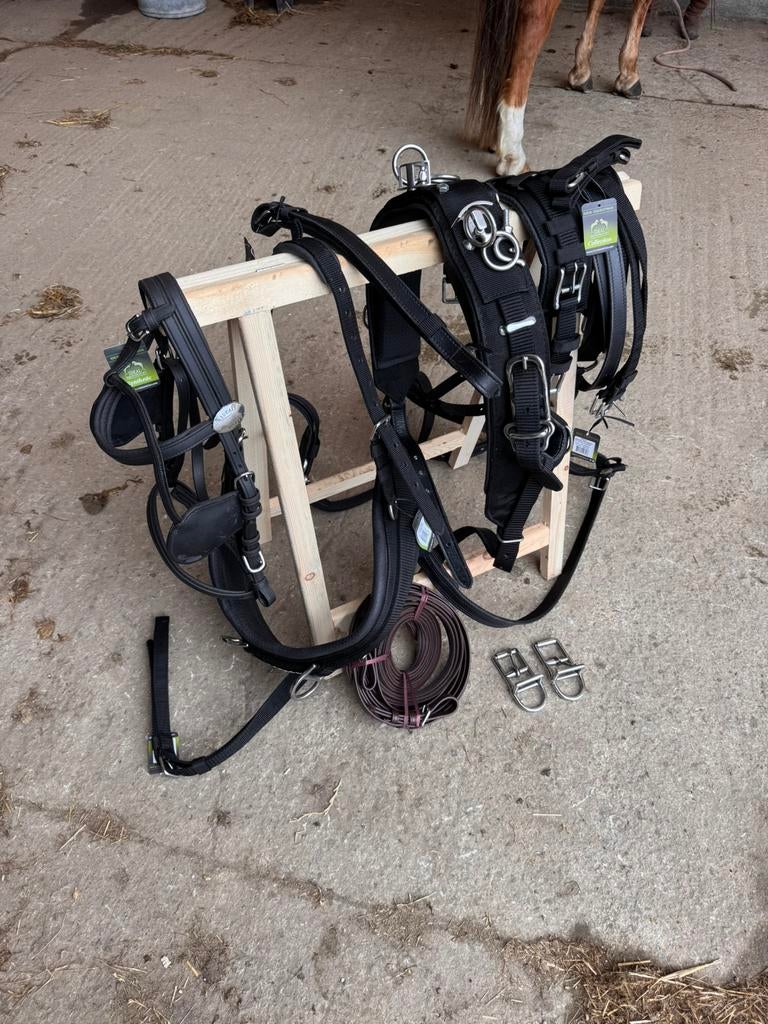 Harnais attelage taille COB, Animaux & Accessoires, Enlèvement, Neuf, Autres espèces