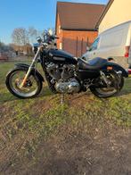 Harley davidson 1200cc 2008, Motos, Permis Moto A, Chopper, Particulier