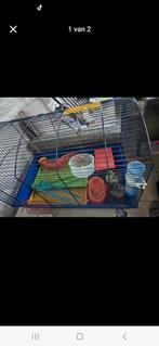 Hamsterkooi met 2 verdieping, Dieren en Toebehoren, Ophalen, Zo goed als nieuw