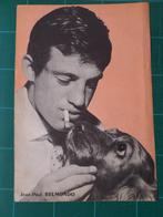 Jean-Paul Belmondo - poster 25x18 - 1964, Cinéma et TV, Utilisé, A4 ou plus petit, Enlèvement ou Envoi