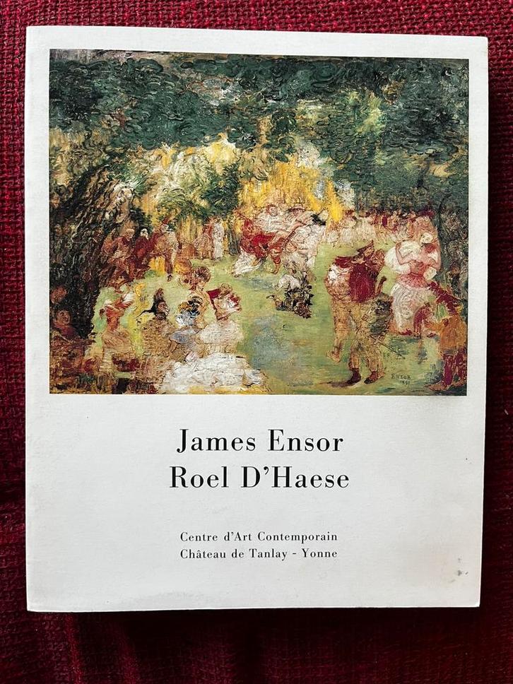 Boek kunst James Ensor Roel D’Haese, Boeken, Kunst en Cultuur | Beeldend, Beeldhouwkunst, Ophalen of Verzenden