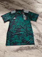Trui van Italië, Sport en Fitness, Maat M, Ophalen of Verzenden, Zo goed als nieuw, Shirt