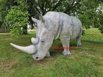 Neushoorn  Giraffe  beschikbaar voor biedingen