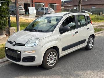 Fiat Panda 1.2 Benzine Euro5, Auto's, Fiat, Stof, 1242 cc, Beige, Overige kleuren