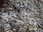 GRATIS compost - stro, Tuin en Terras, Aarde en Mest, Ophalen, Mest