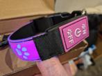 Collier LED pour chien - Geel - Putte, Enlèvement ou Envoi, Neuf