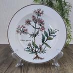 Villeroy & Boch Botanica Diep Bord 22 cm, Antiek en Kunst, Antiek | Servies los, Ophalen of Verzenden