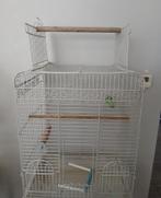 Grote papegaaienkooi met complete accessoires, Dieren en Toebehoren, Vogels | Hokken en Kooien, Ophalen of Verzenden