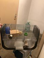 Cage hamster, Animaux & Accessoires, Enlèvement, Utilisé, Cage, Hamster