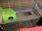 Konijnenhok, Dieren en Toebehoren, Ophalen, Gebruikt, Hok, Konijn