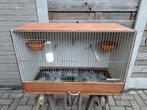 Houten kooien/ kweekkooien bruin, Dieren en Toebehoren, Ophalen
