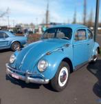 Cox 1959 deluxe, Autos, Volkswagen, Entreprise, Coccinelle, Automatique, 1600 cm³