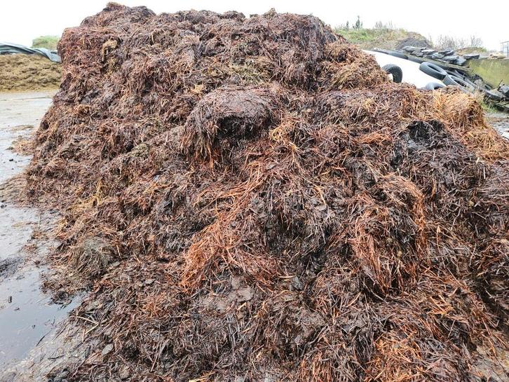 Mestafzet gezocht – alle mestsoorten, Zakelijke goederen, Landbouw | Werktuigen, Ophalen of Verzenden