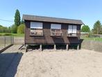 Duivenhok, Dieren en Toebehoren